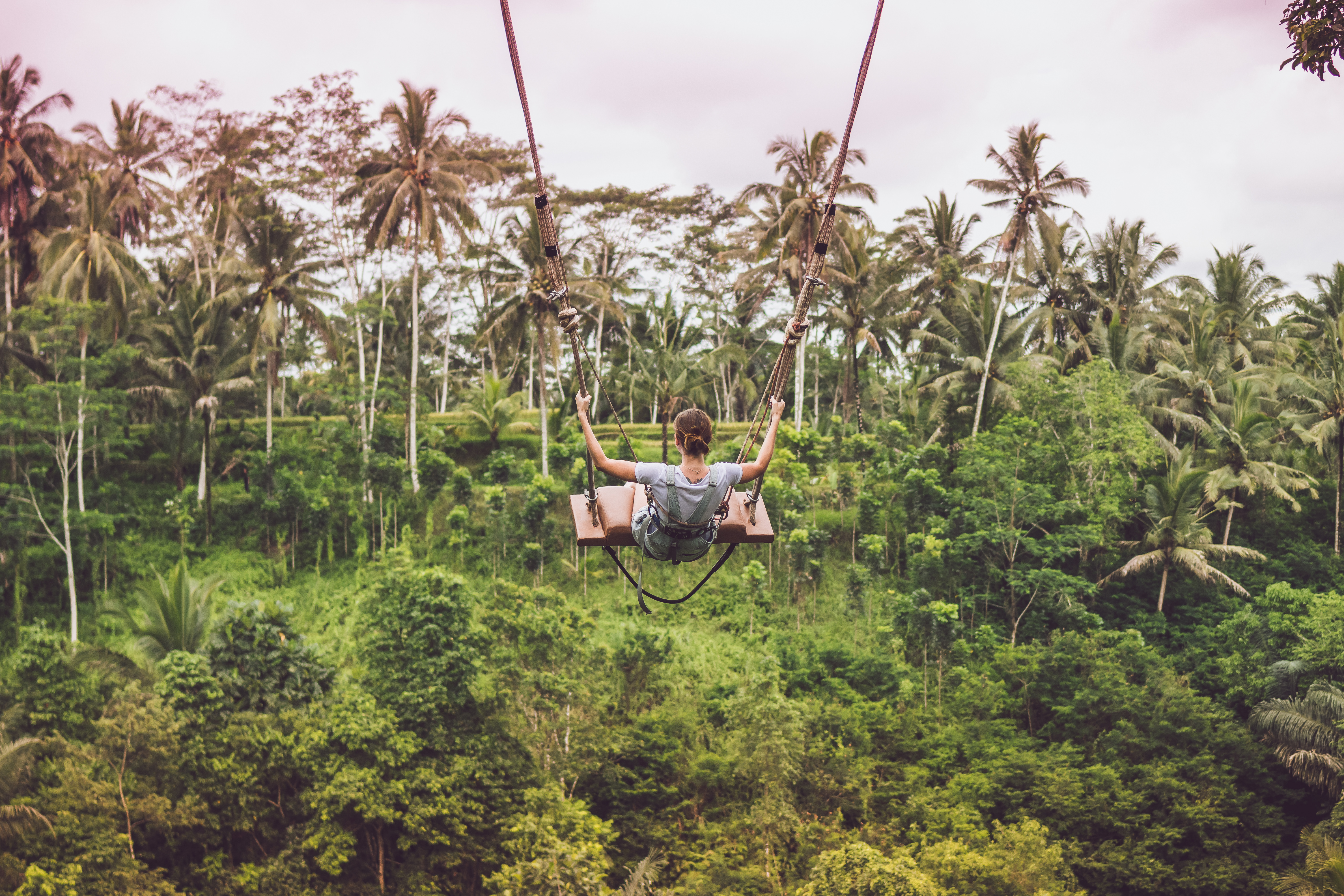 Young tourist woman swinging on the cliff in the jungle rainforest of a tropical Bali island, Indonesia.